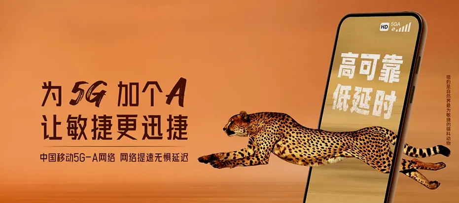 望奎县望奎县灯塔镇 移动宽带
